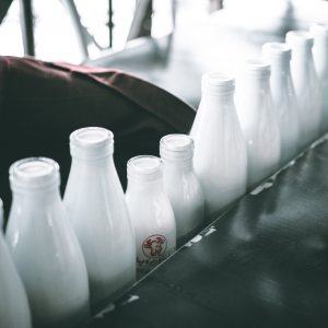 dairy elimination