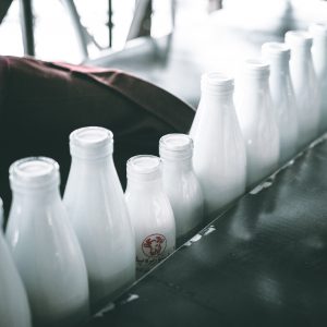 dairy elimination